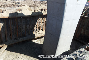 哈尔滨松花江公路大桥扩建工程